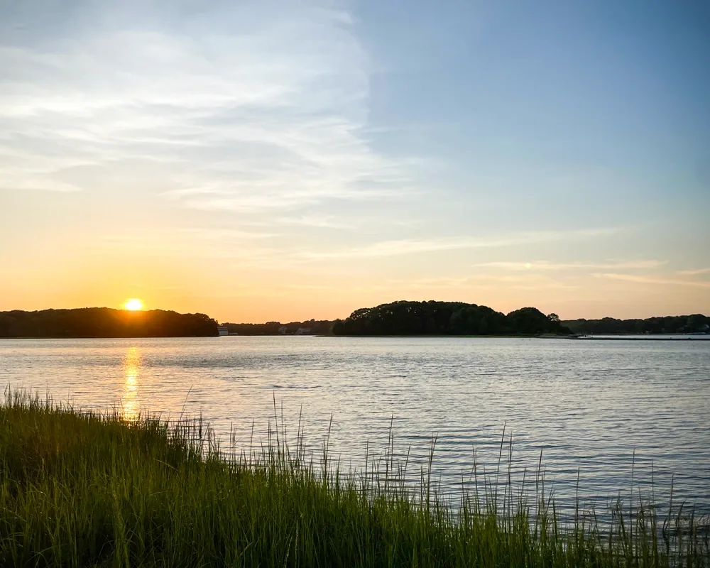 Sunset over the West Passage, seen through the marsh grass on the western shore